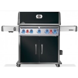 BARBECUE A GAS ROGUE PRO-S...